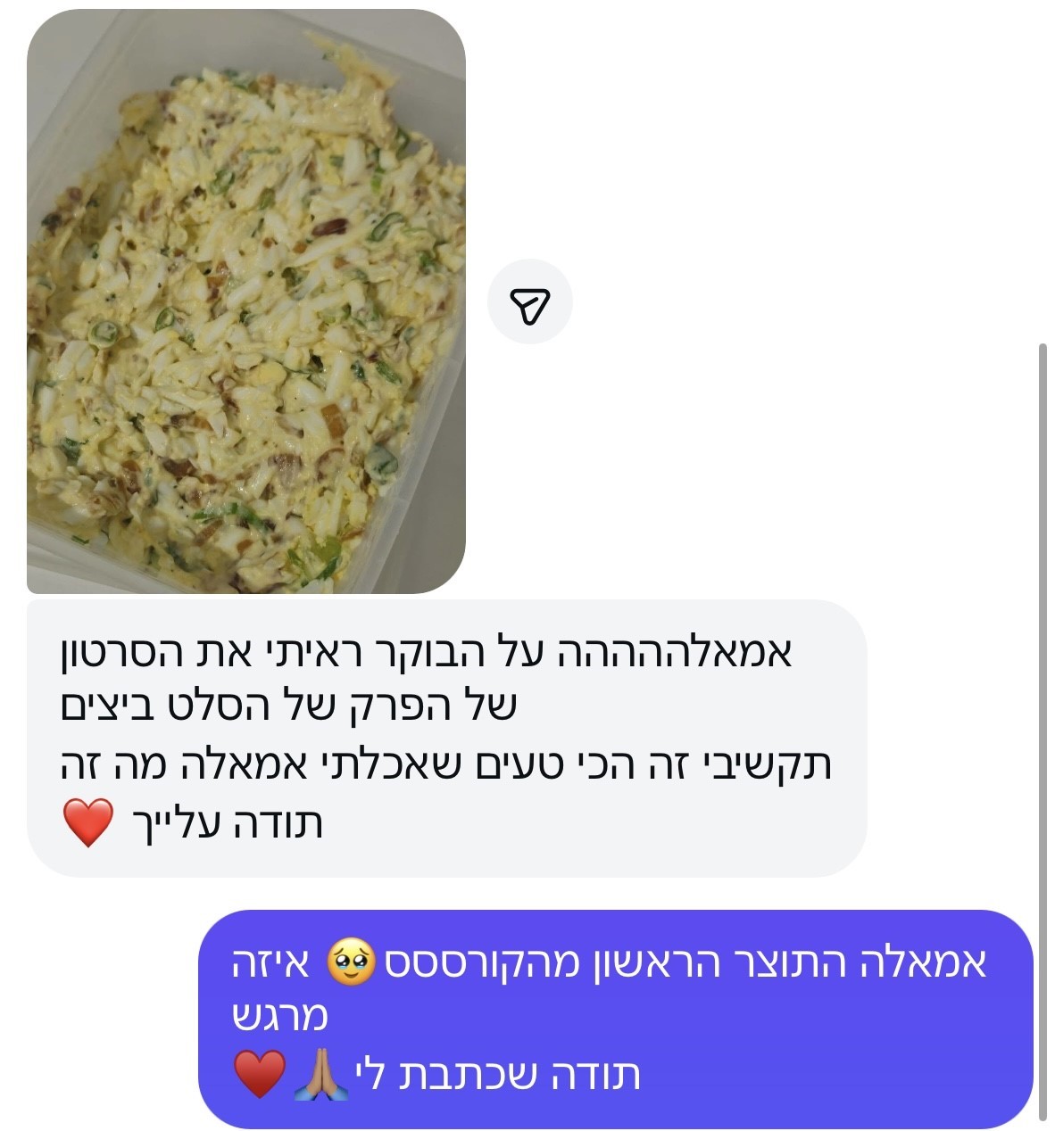 המלצה